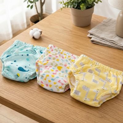 culotte d'apprentissage